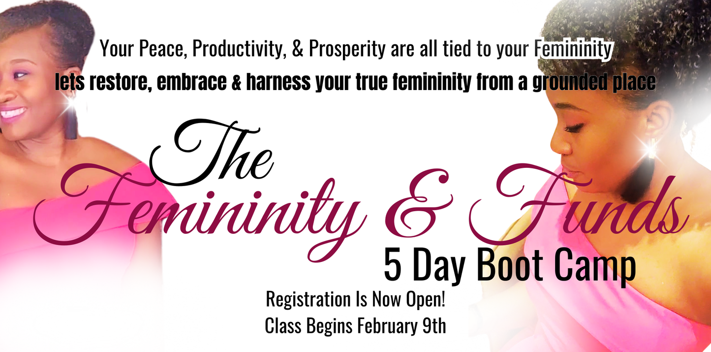 The Femininity & Funds 5 Day Bootcamp